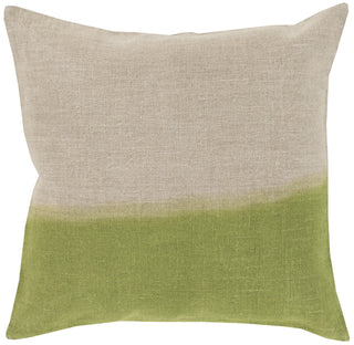 Surya Dip Dyed DD-015 Pillow 22 X 22 X 5 Down filled