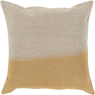 Surya Dip Dyed DD-017 Pillow 18 X 18 X 4 Poly filled