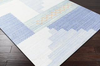 Surya Didim DDM-2301 Area Rug