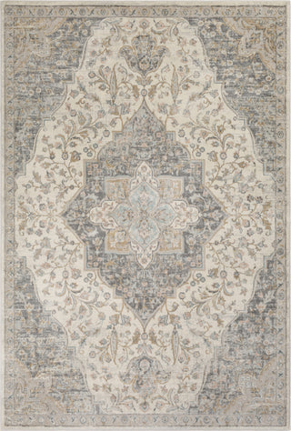 Surya Dryden DDN-2300 Area Rug