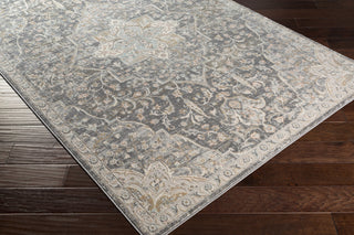 Surya Dryden DDN-2301 Area Rug