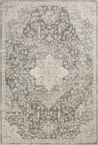 Surya Dryden DDN-2301 Area Rug