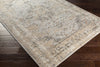 Surya Dryden DDN-2302 Area Rug