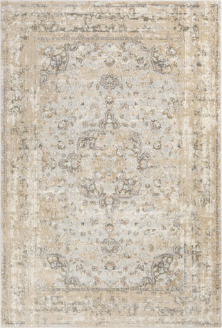 Surya Dryden DDN-2302 Area Rug