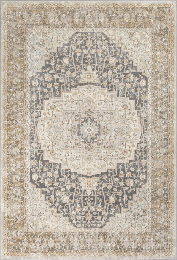 Surya Dryden DDN-2306 Area Rug