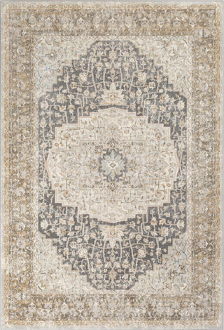 Surya Dryden DDN-2306 Area Rug