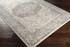 Surya Dryden DDN-2307 Area Rug