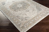 Surya Dryden DDN-2308 Area Rug