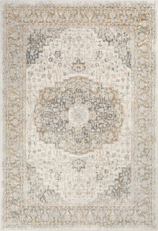 Surya Dryden DDN-2308 Area Rug