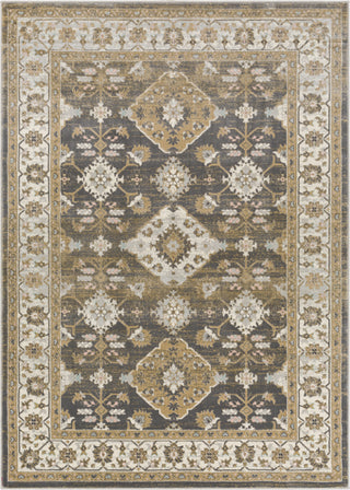 Surya Dryden DDN-2311 Area Rug