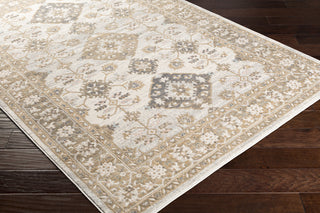 Livabliss Dryden DDN-2312 Area Rug