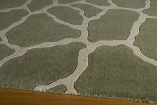 Momeni Deco DC-17 Sage Area Rug Corner Shot