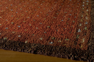 Momeni Desert Gabbeh DG-01 Paprika Area Rug Closeup