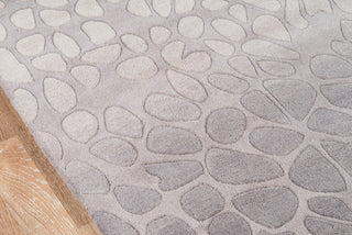 Momeni Delhi DL-33 Silver Area Rug Closeup