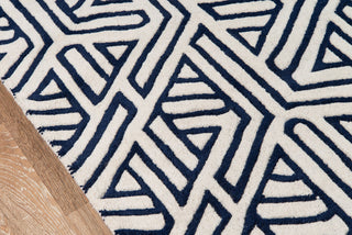 Momeni Delhi DL-51 Navy Area Rug Closeup