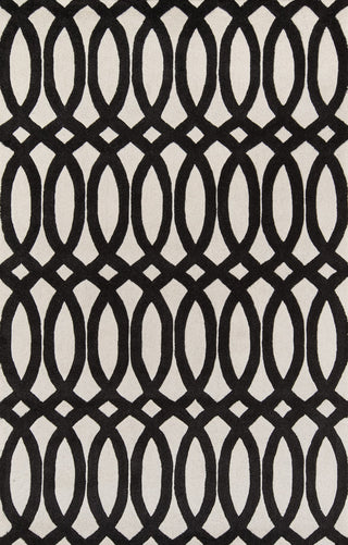 Momeni Delhi DL-57 Black Area Rug main image