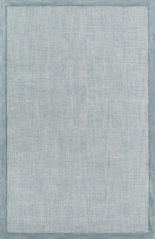 Momeni Delhi DL-65 Blue Area Rug main image