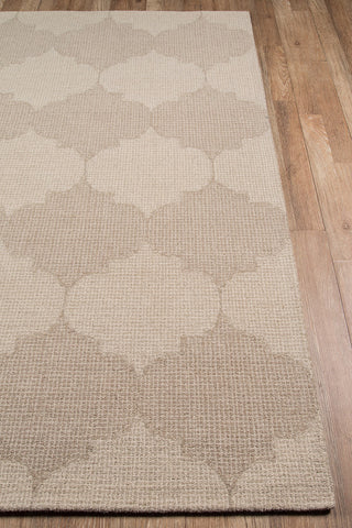 Momeni Delhi DL-69 Beige Area Rug Corner Image Feature