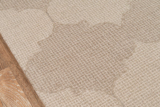 Momeni Delhi DL-69 Beige Area Rug Close up