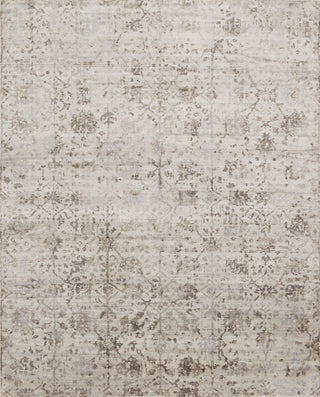 Loloi Delphi DL-01 Silver/Bark Area Rug main image