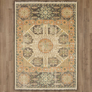 Karastan Paradigm Delphine Grey Area Rug Main Image