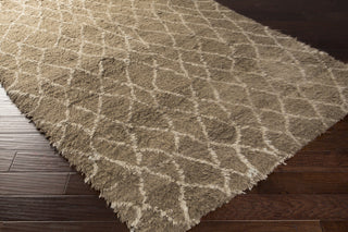Surya Denali DEN-5001 Area Rug 5x8 Corner Feature