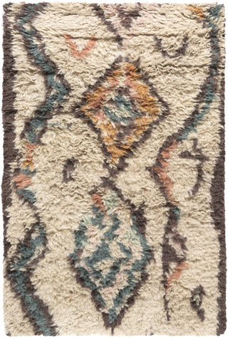 Surya Denali DEN-5002 Beige Area Rug 2' x 3'