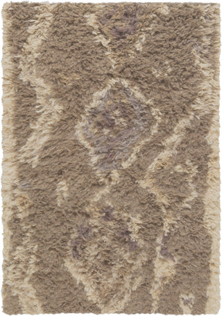 Surya Denali DEN-5003 Taupe Area Rug 2' x 3'