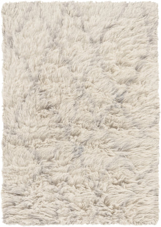 Surya Denali DEN-5004 Grey Area Rug 2' x 3'