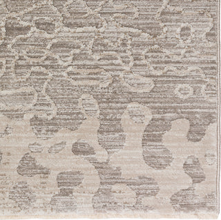 Dalyn Denizi DZ6 Silver Area Rug Closeup Image