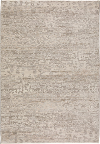 Dalyn Denizi DZ6 Silver Area Rug main image