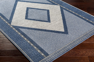 Surya Delphi DEP-2302 Area Rug Corner Shot