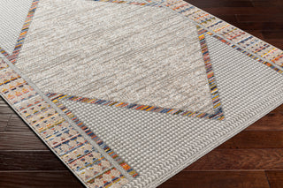 Surya Delphi DEP-2305 Area Rug Corner Shot