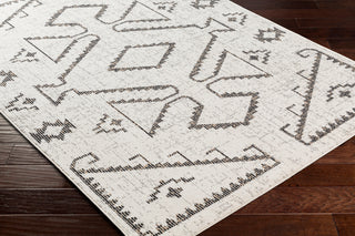 Surya Delphi DEP-2311 Area Rug Corner Shot