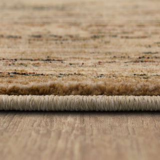 Karastan Spice Market Desert Rose Vanilla Area Rug by Virginia Langley Detail Image