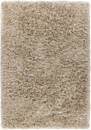 Chandra Diano DIA-29502 Tan Area Rug main image