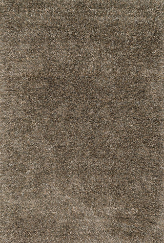 Loloi Dion Shag DS-01 Mocha Area Rug Main