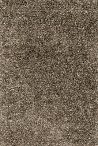 Loloi Dion Shag DS-01 Mocha Area Rug main image