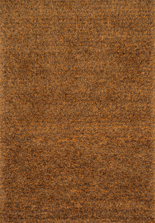 Loloi Dion Shag DS-01 Spice Area Rug main image