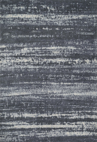 Loloi Discover DC-02 Charcoal Area Rug main image