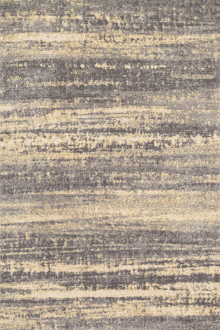 Loloi Discover DC-02 Grey / Gold Area Rug main image