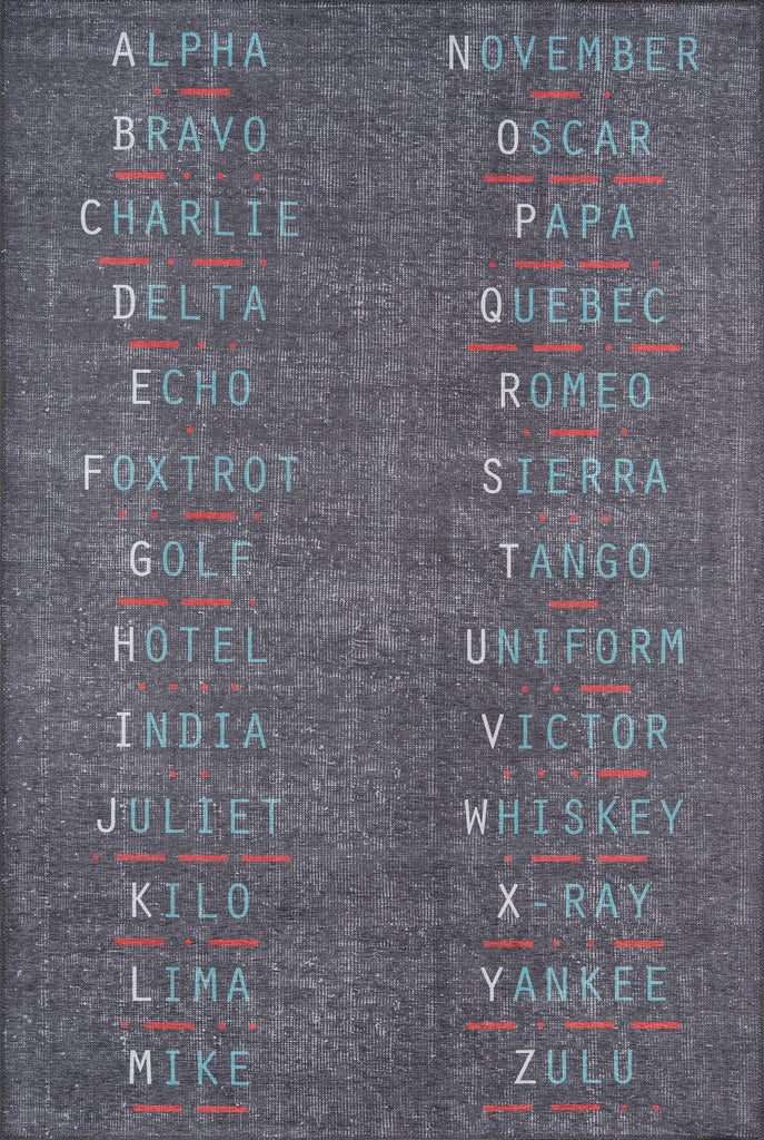 Momeni District DIS-2 Charcoal Area Rug by Novogratz main image