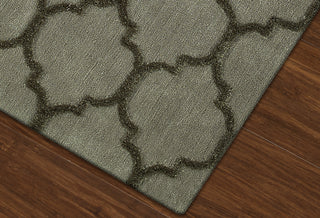 Dalyn Dakota DK2 Taupe Area Rug Closeup