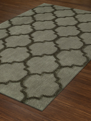 Dalyn Dakota DK2 Taupe Area Rug Floor Shot