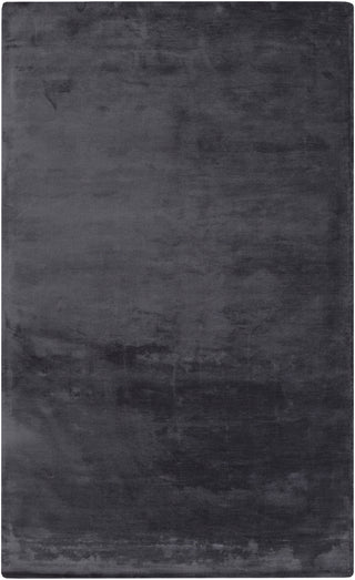 Surya Dolce DLC-9002 Charcoal Area Rug by Papilio 5' x 8'