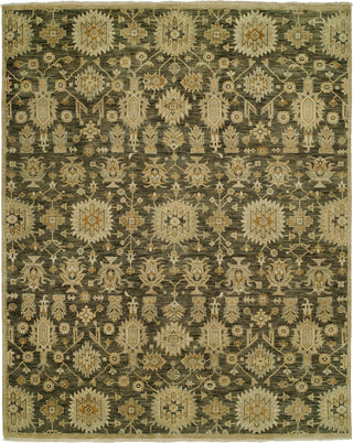 Ancient Boundaries Dodi DOD-04 Area Rug main image