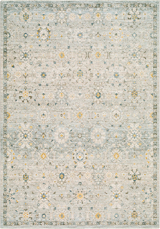 Surya Dresden DRE-2307 Area Rug Main Image 5'x7'5"