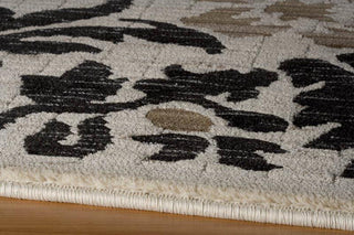 Momeni Dream DR-55 Ivory Area Rug Corner Shot