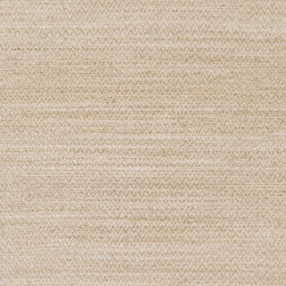 Surya Drift Wood DRF-3000 Beige Hand Woven Area Rug Sample Swatch