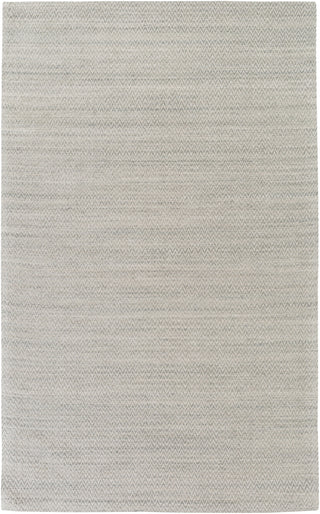 Surya Drift Wood DRF-3001 Grey Area Rug 5' x 8'